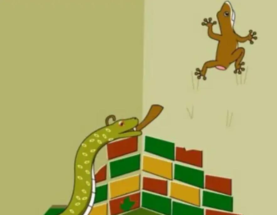 壁虎可怕,壁虎很可怕