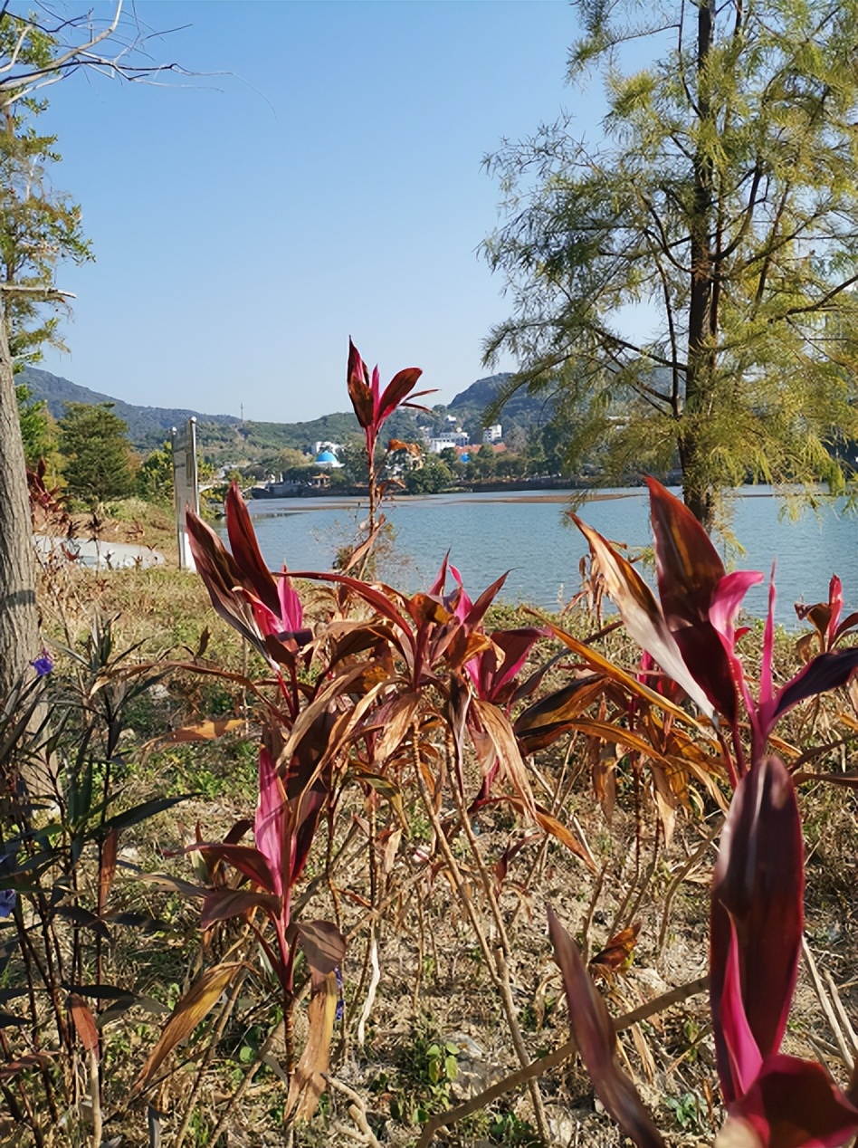 刘柏荣|豪*欲情**把春留住:花困东君酒点唇(原创诗词十首)