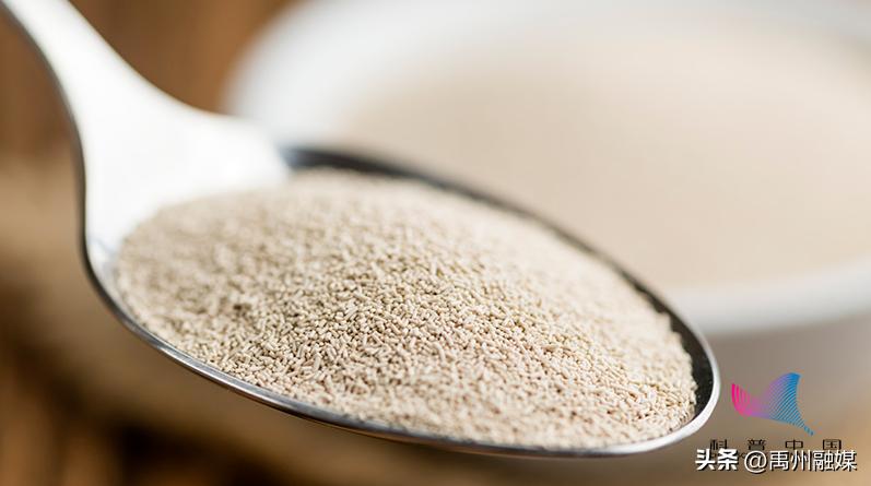 经常吃含酵母的食物容易得胃病,含酵母类食物