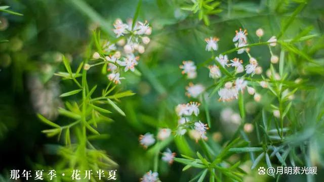 外汇投资方法和技巧,外汇的投资方式