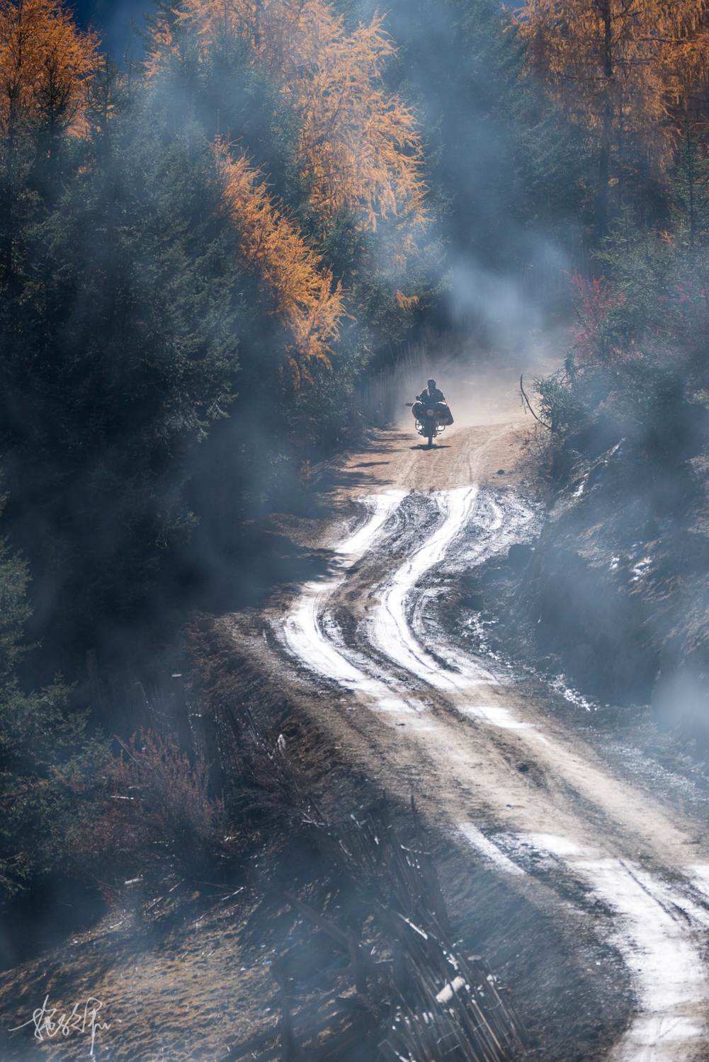 我的2022年度报告,我的2022原版