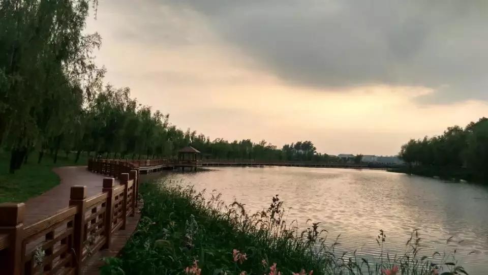 开到荼蘼花事了尘烟尽意思,开到荼蘼花事了不思量自难忘