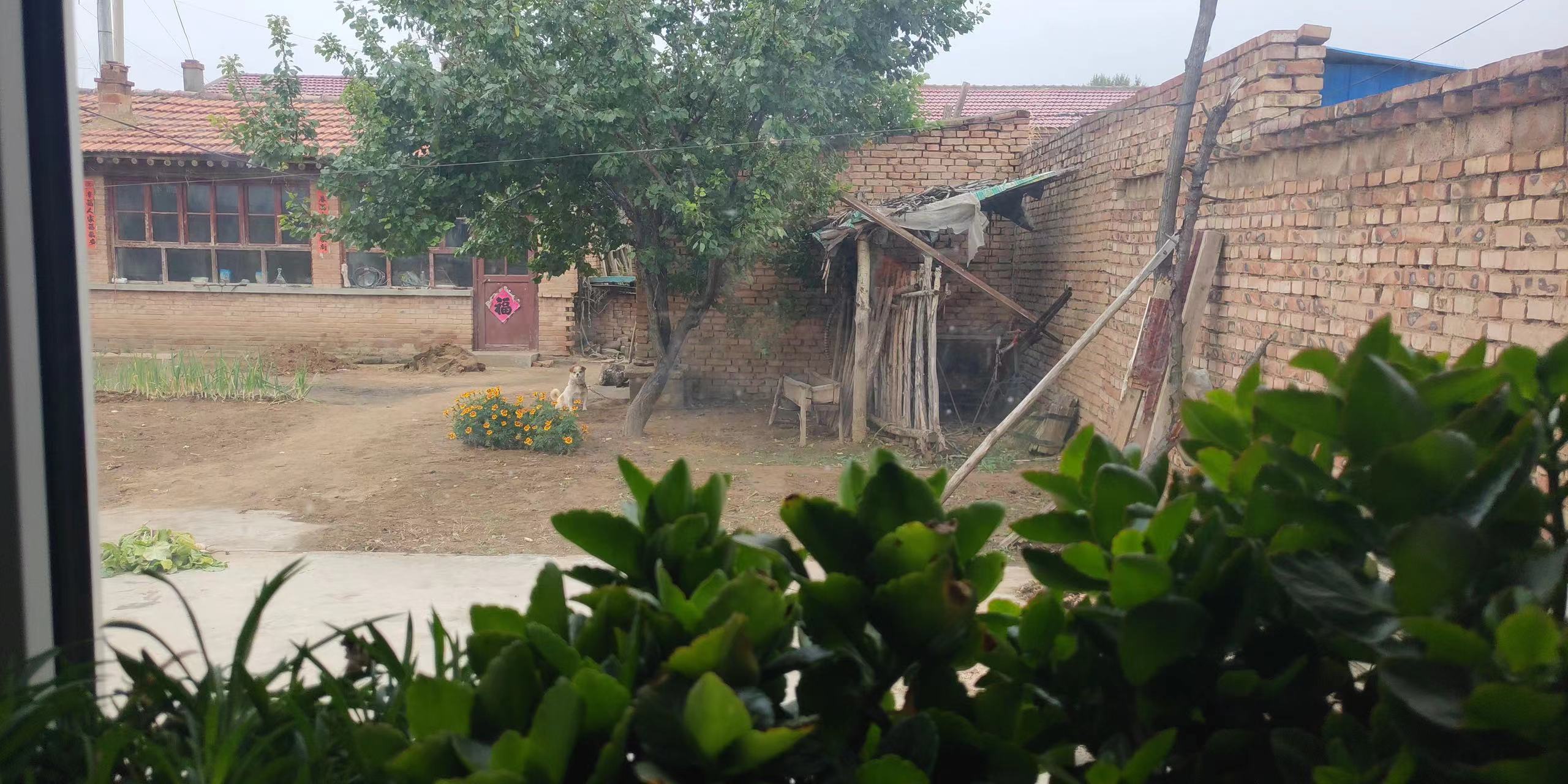 鍘熷垱鍔ㄧ敾楗ヨ崚骞翠唬,鍘熺増楗ヨ崚瑙ｈ