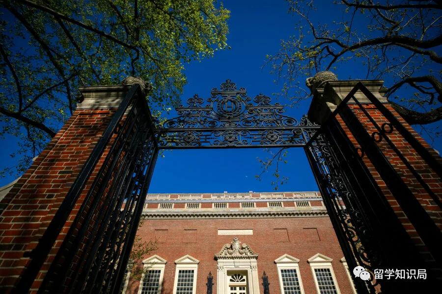 培养一个篮球体育生要多少钱,怎么免学费上藤校