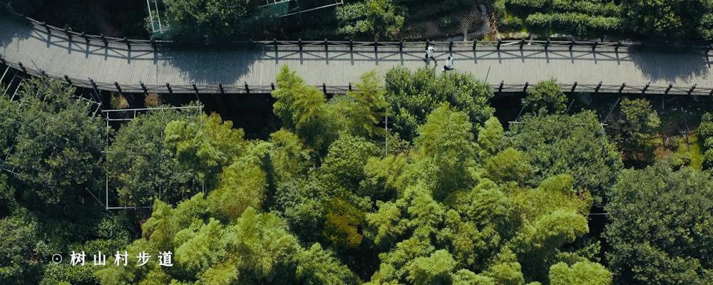 苏州京杭大运河健身步道,苏州环古城健身步道图