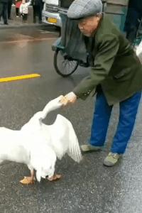 “我再也不想跟老公一块睡了”网友:我出50块,把床铺大点哈哈哈