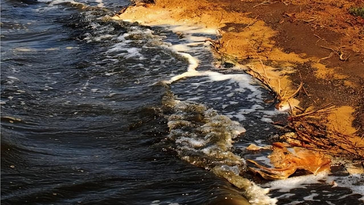 淡水会加剧土地盐碱化吗,淡水能导致盐碱化吗