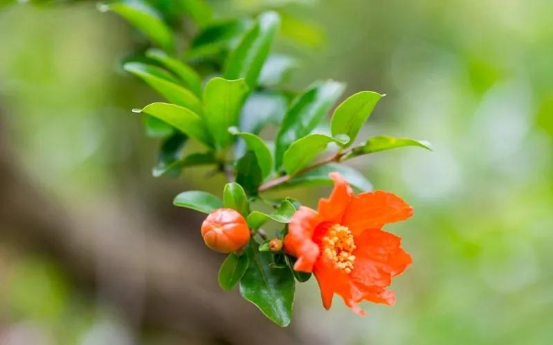 最后她还是没躲过那个比她大8岁的老头