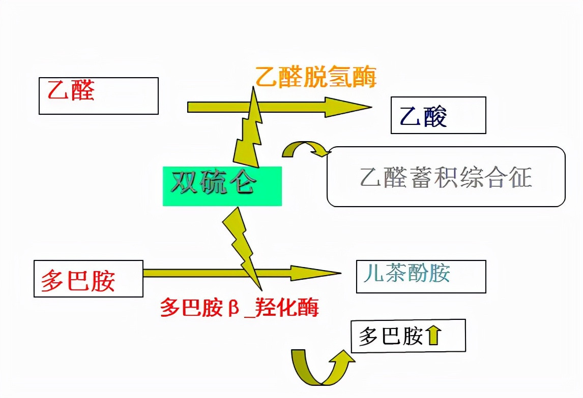 为什么头孢配酒不能说走就走,头孢配酒说走就走的是哪种头孢