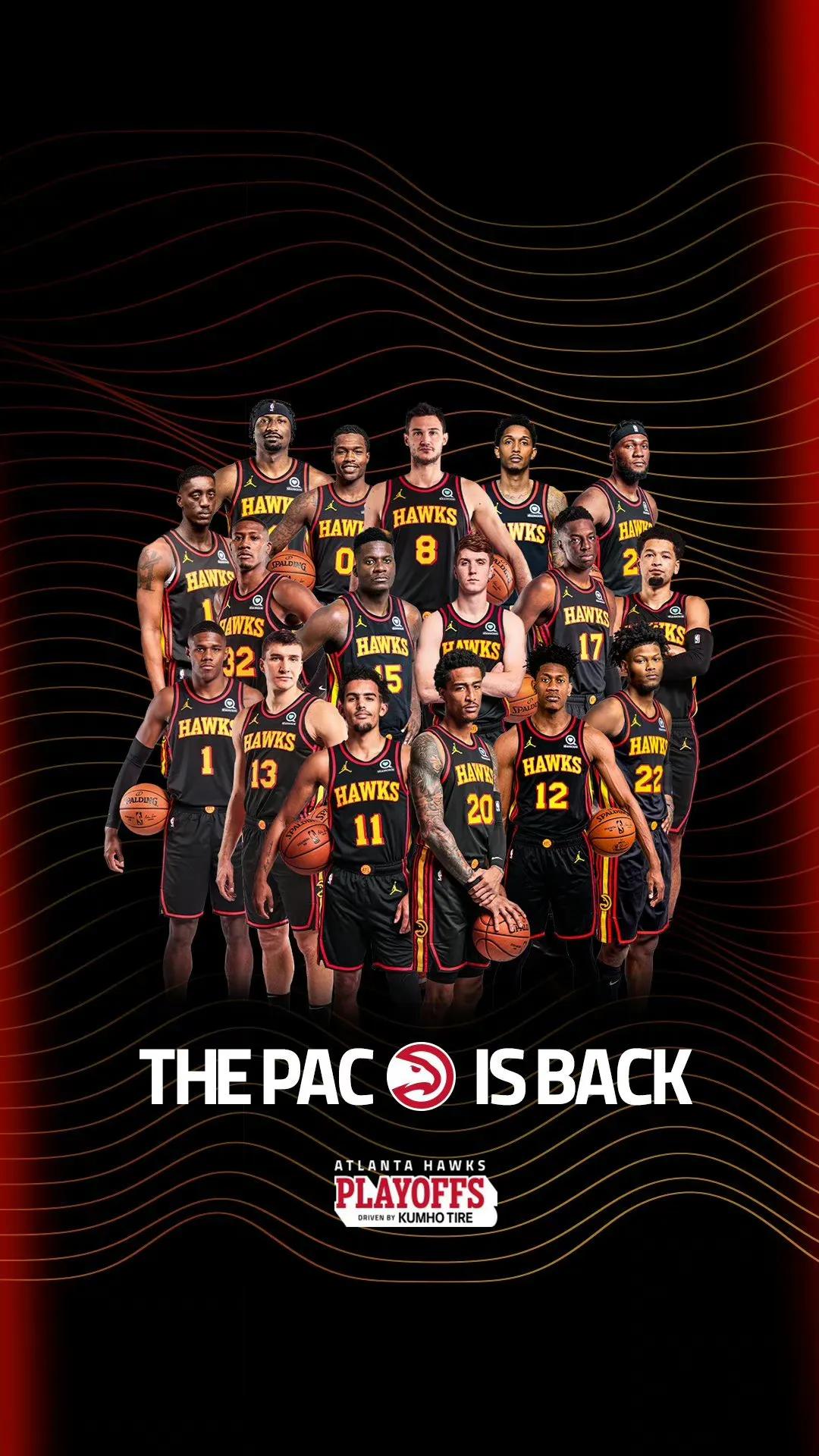 深山里的老鹰霸气壁纸,亚特兰大老鹰壁纸