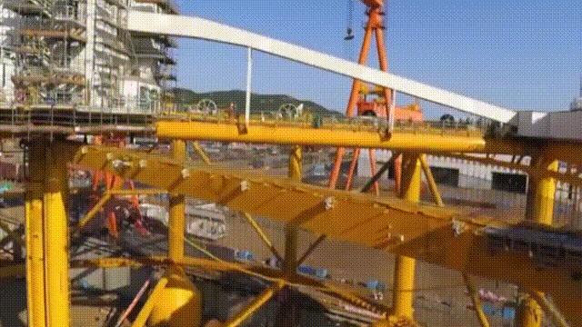 国内的假三文鱼是什么鱼,哪种才是真正的三文鱼