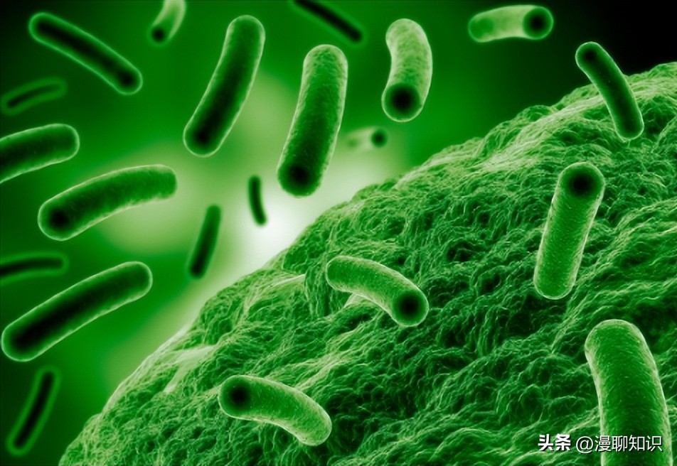 妇阴康洗剂效果怎么样,妇阴康洗剂是抗生素药吗