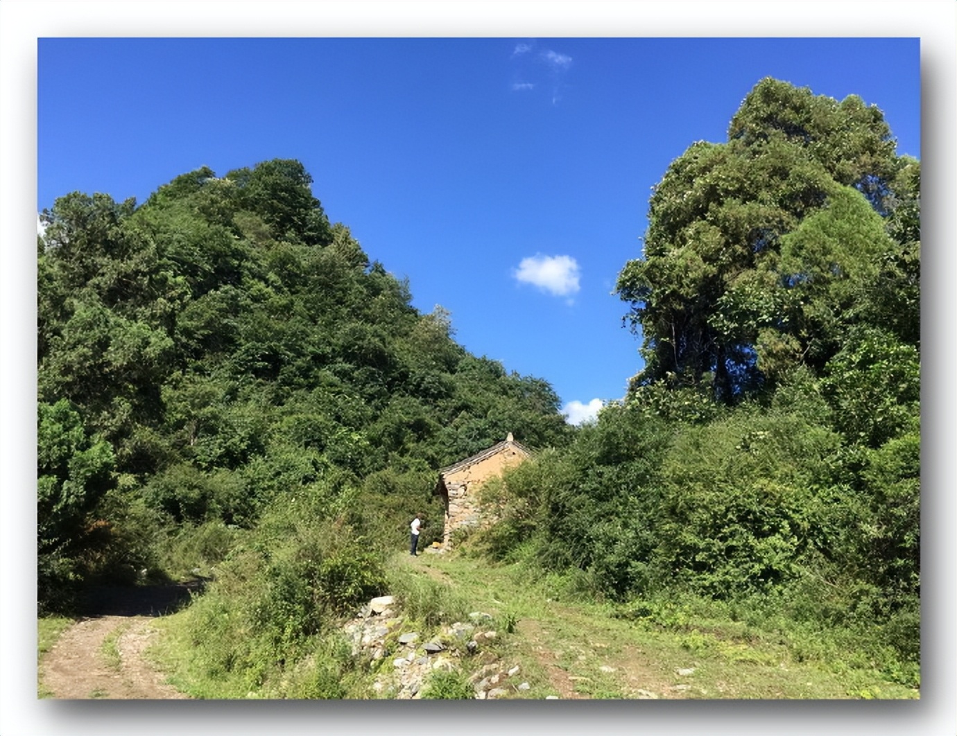 枫丹白露中国,探访中国最北漠河