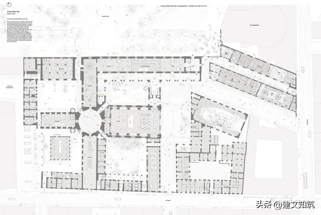 【竞赛】CinoZucchi赢得都灵皇家马厩与马术学院历史建筑修复设计