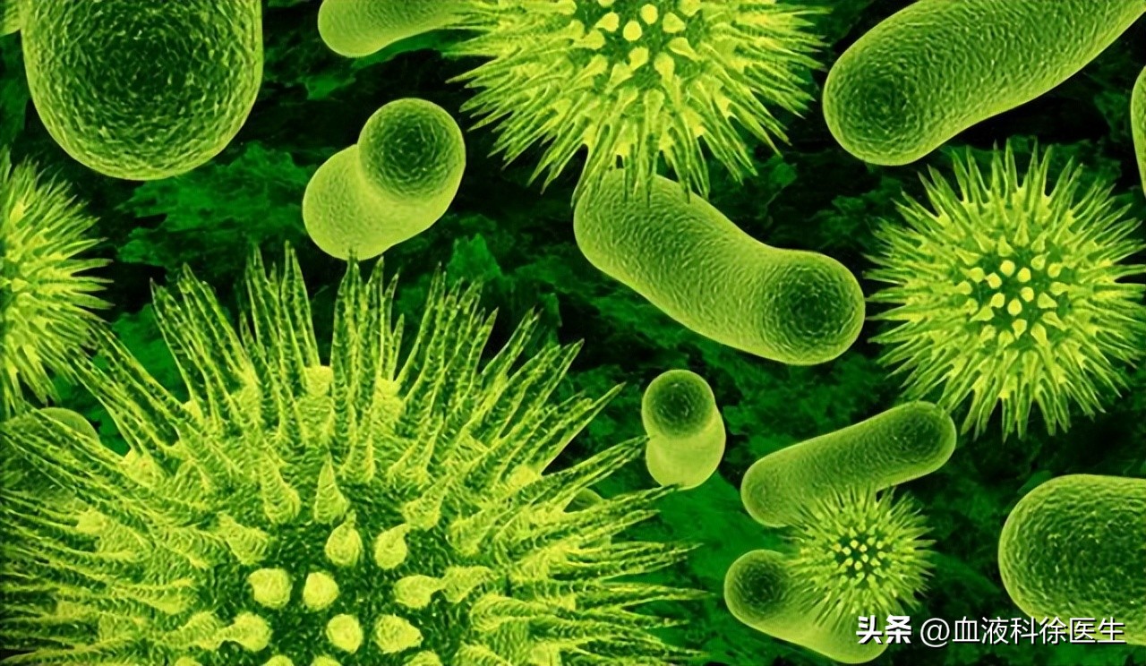 老年人别太节俭多补充这几种食物,老年人不建议吃的零食