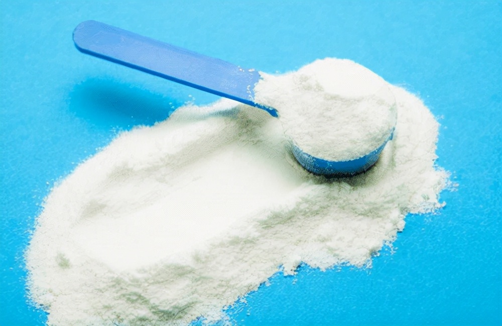 猫咪没食欲是怎么回事,猫咪没有食欲怎么办