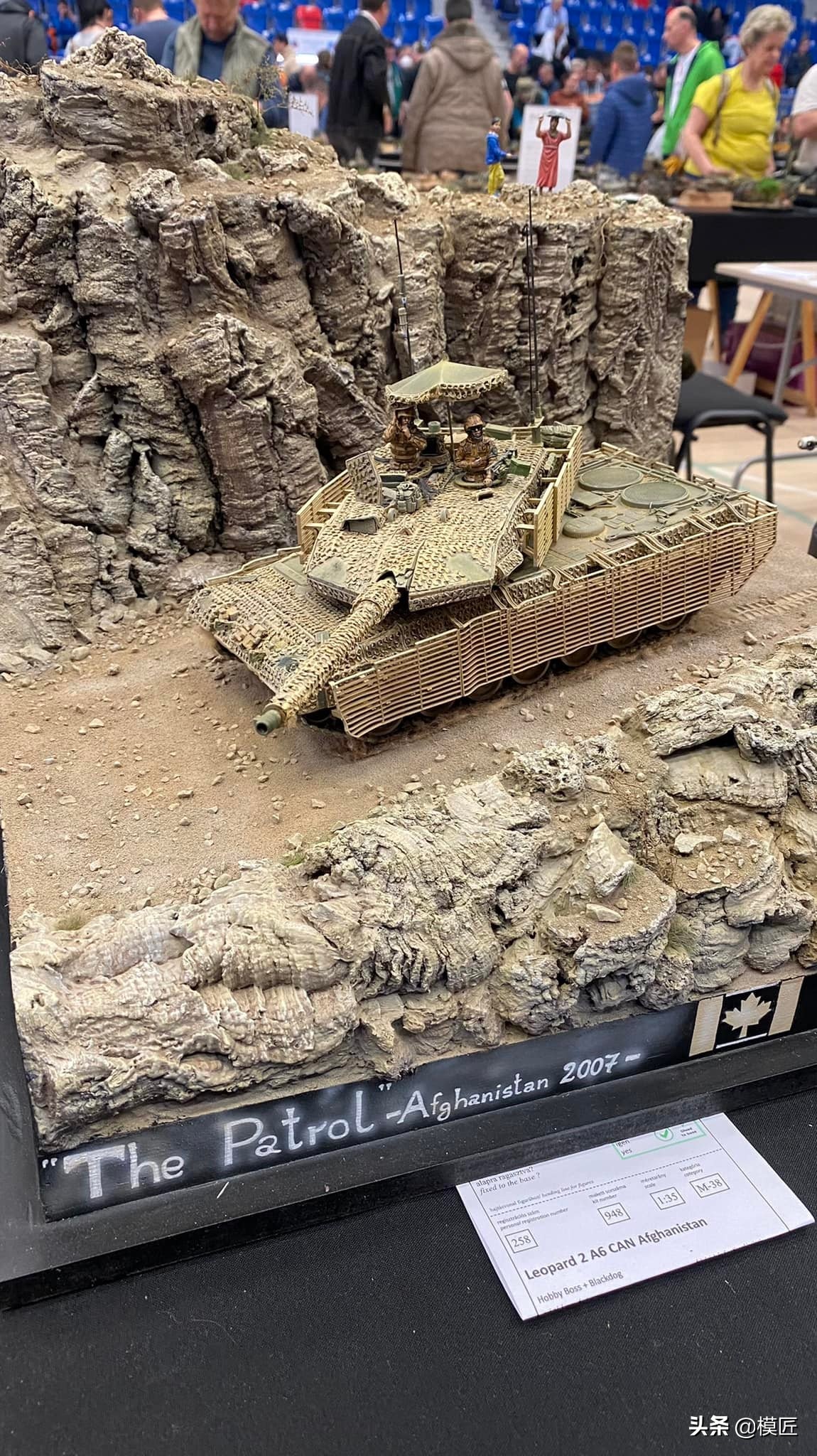 匈牙利莫森金奖,莫森模型展