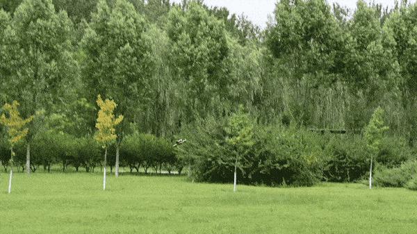 djifpv大疆沉浸式飞行无人机,大疆djifpv沉浸式飞行