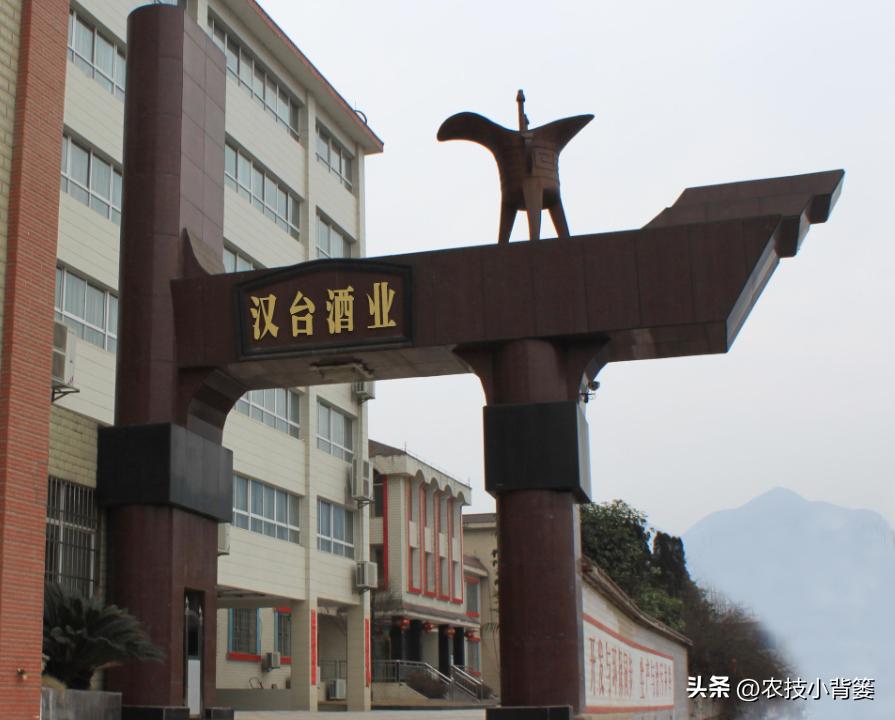 白酒骗局揭秘,高档白酒骗局揭秘大全