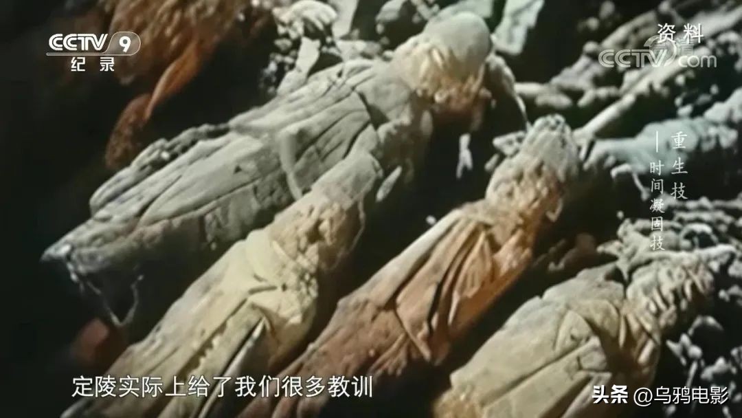 一口气八集!拿命换来的燃,果然是央视良心