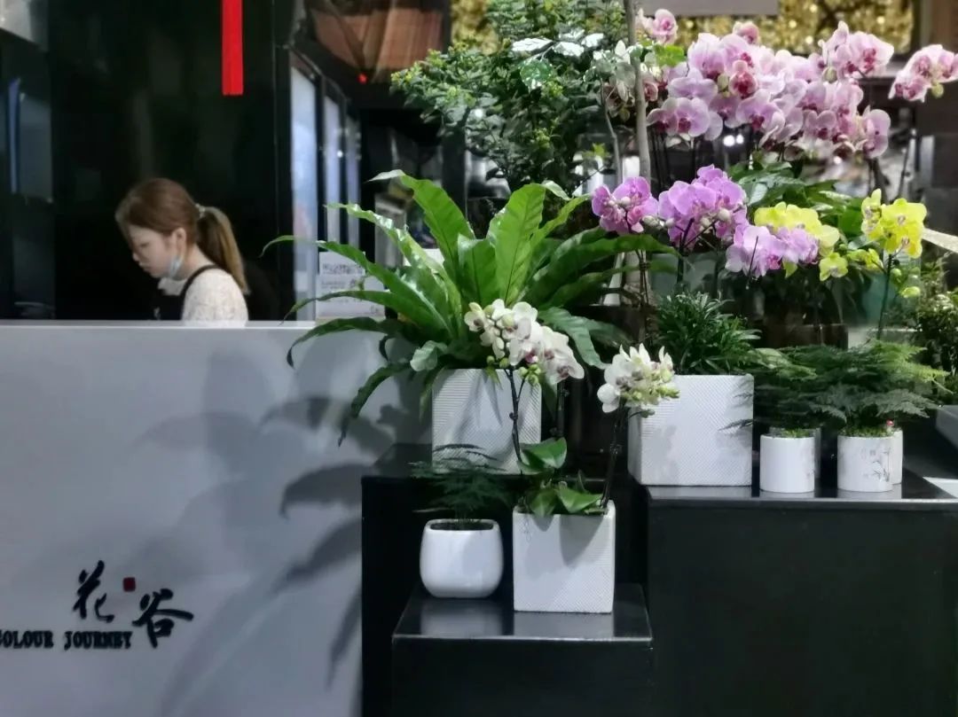 寮曢鑺辫壓娼祦鐨勫崄浜屽鑺卞簵,鏃ユ湰闈掑北鑺卞簵鍟嗕笟妯″紡