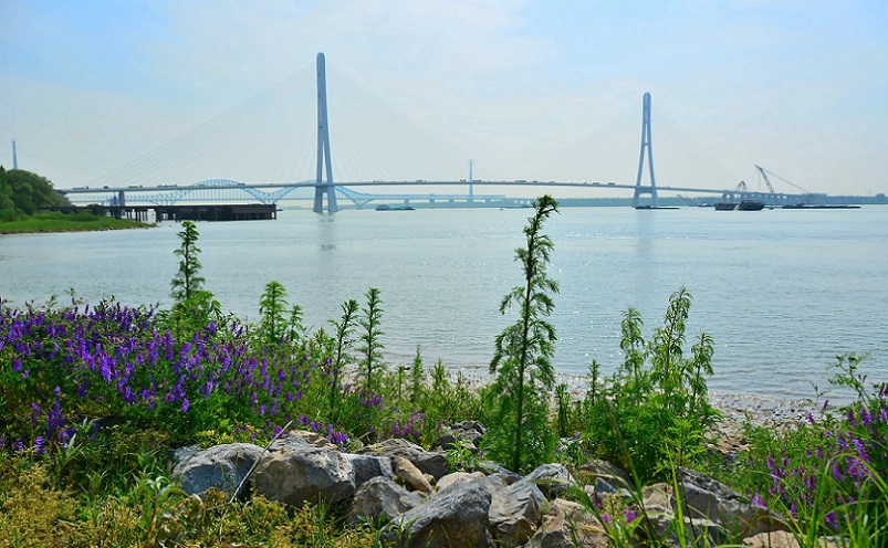 南京栖霞区免费游玩景点推荐,南京一百个免费景点