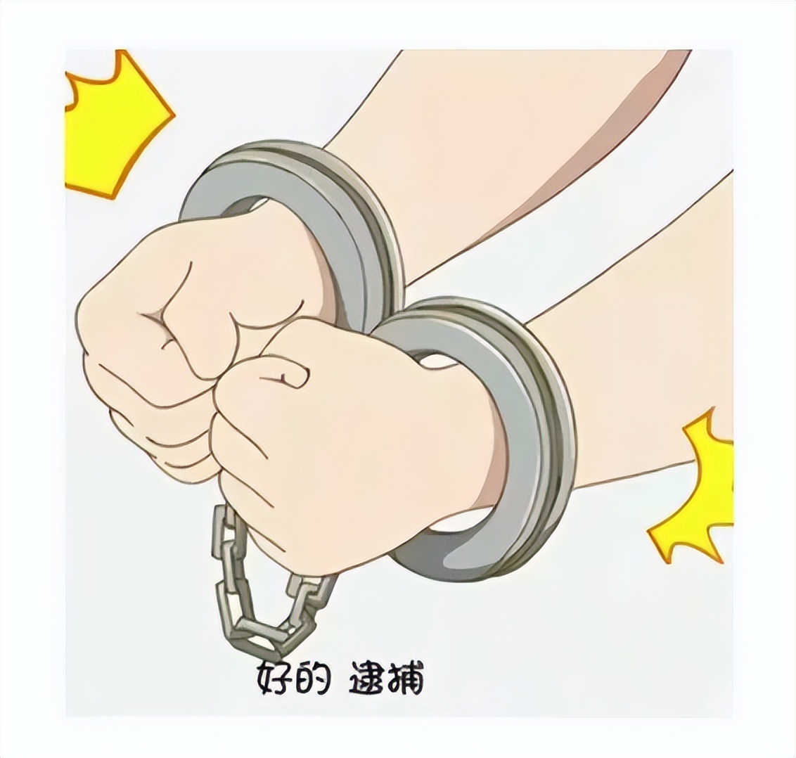 以案释法治安管理处罚法,以案释法社区矫正