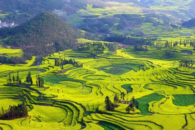 春风吹拂大地一片生机,春风吹拂生机盎然