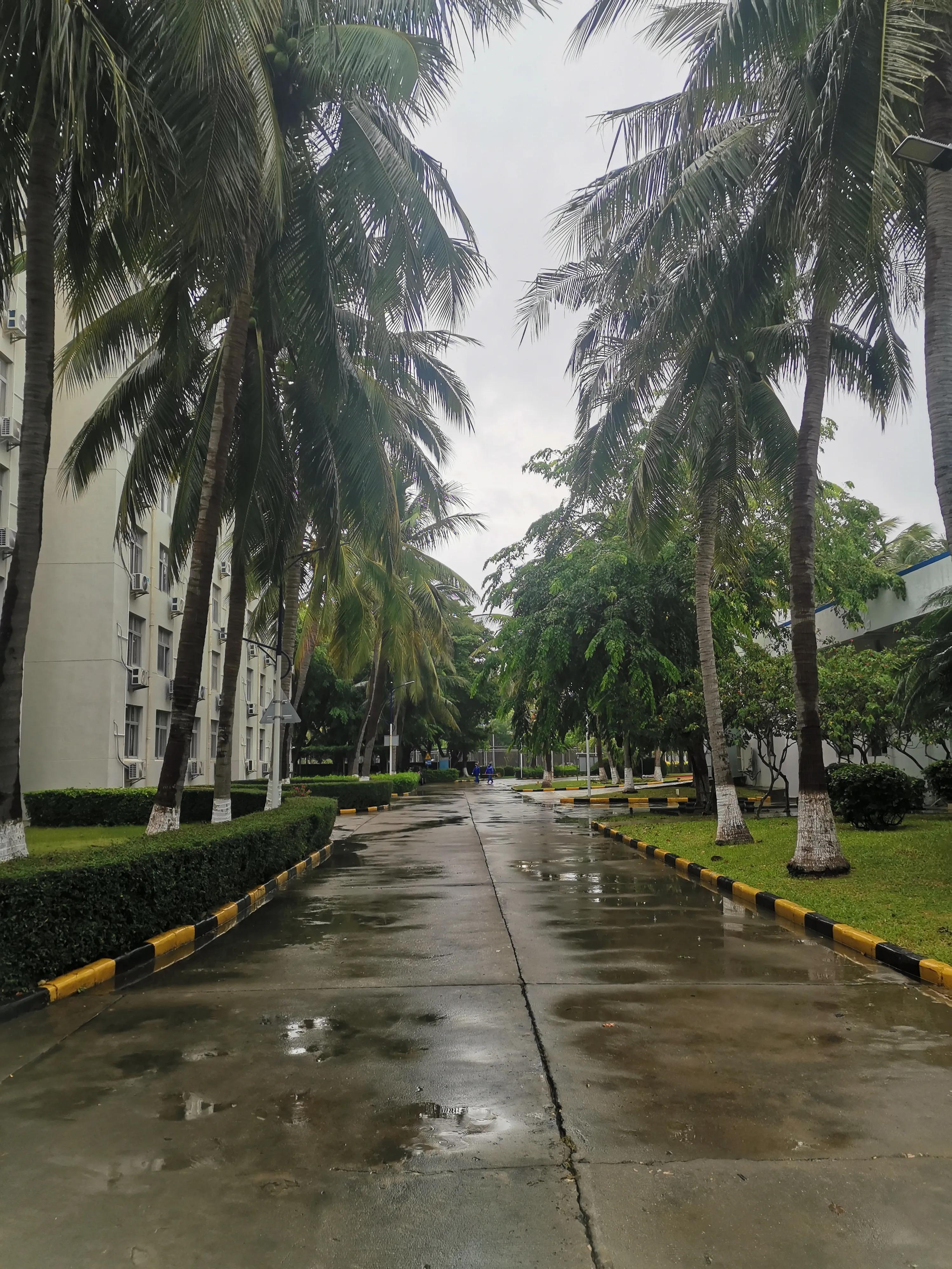 现在海南是一个好地方吗,海南很好吗