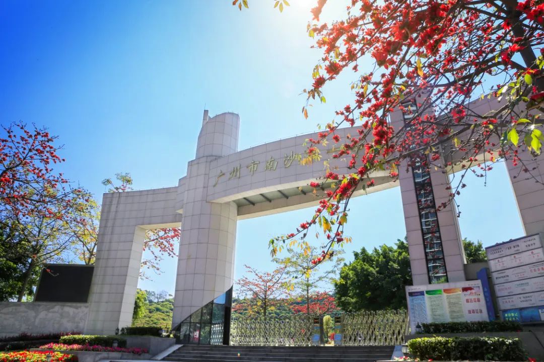 南沙东涌中学2023招生人数,南沙一中特长生