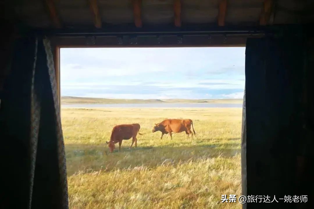 呼伦贝尔塞北草原旅行,呼伦贝尔金秋自驾游