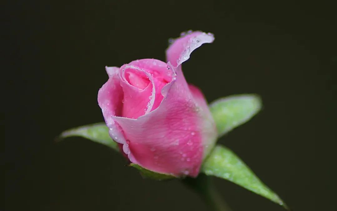 男女之间的纯洁友谊是懂得不越界,男女之间纯洁的友谊越界了怎么办