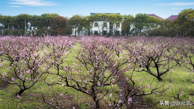 农村再迎新工程,今年农村将迎来十件大好事