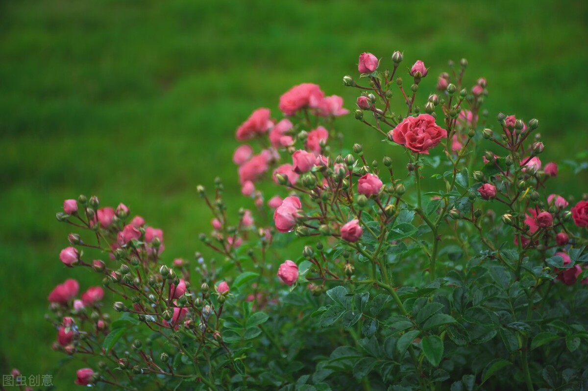 数字的古诗词飞花令大全,飞花令100首必背诗词高年级