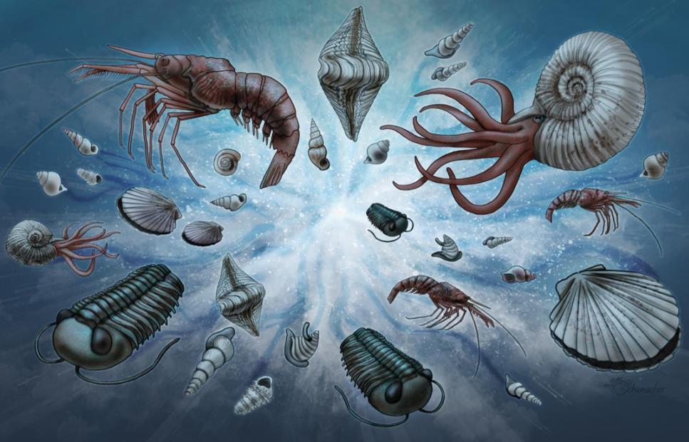 地球简史书籍完整版,地球简史46亿年的奇迹