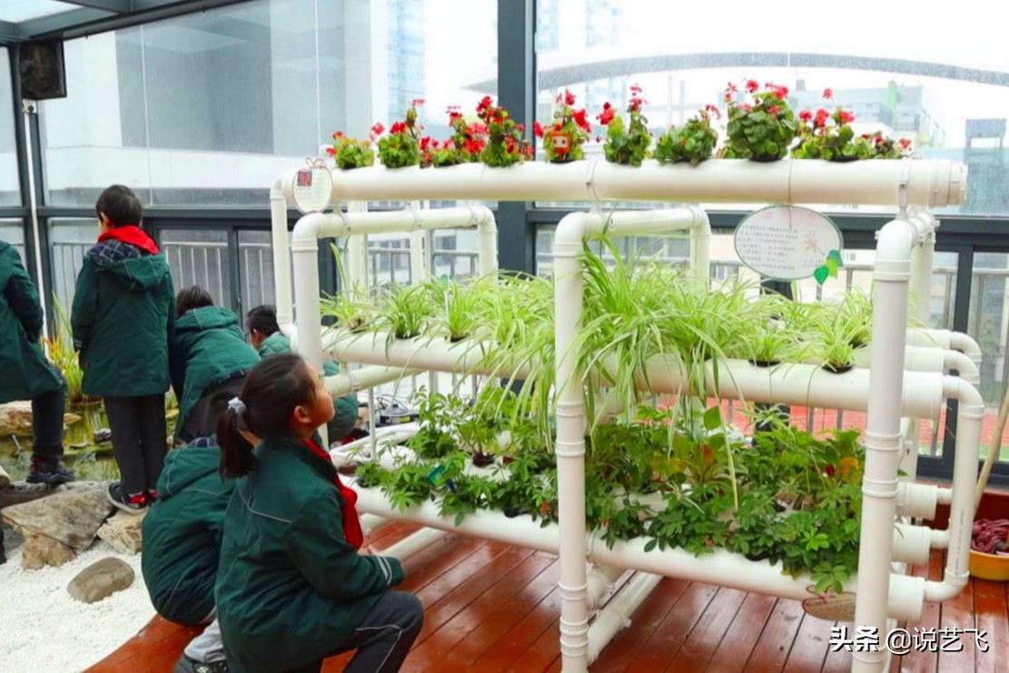 武汉水果湖教育基地,武汉水果湖一小学好吗