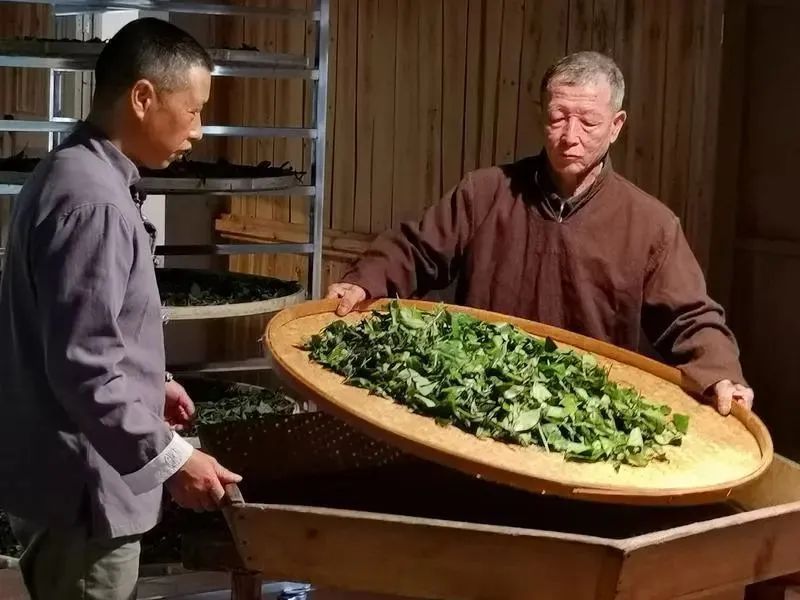 红茶最新的产品标准号,红茶各品种测评标准表最新