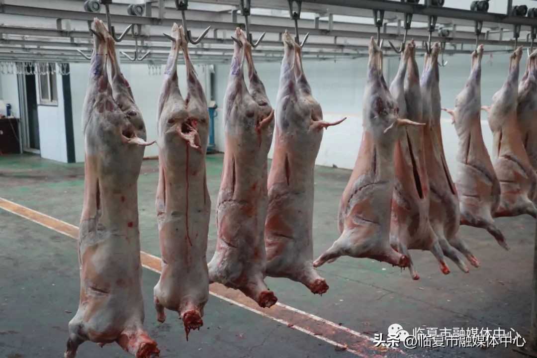 临夏县全面落实创业担保贷款,临夏州创业贷款总额