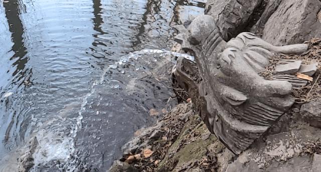 开着沪牌回老家怎么样,开着大巴玩转江浙沪