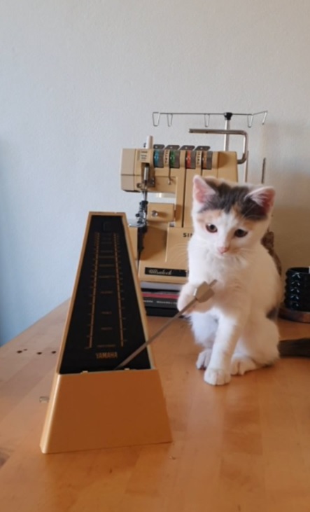 小哥为省钱在悉尼捡垃圾，年赚2万澳币，名包手机电脑随地捡？