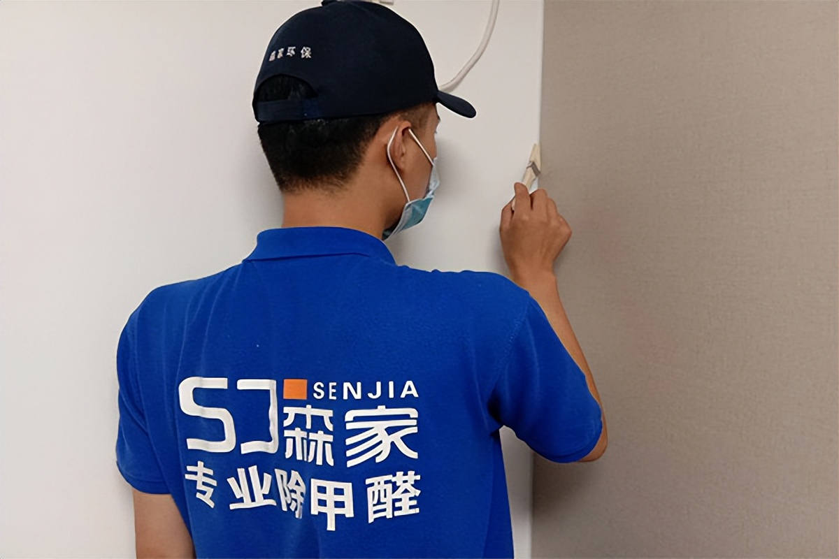 扬州全国连锁的除甲醛加盟项目,加盟除甲醛项目一个月能赚多少钱