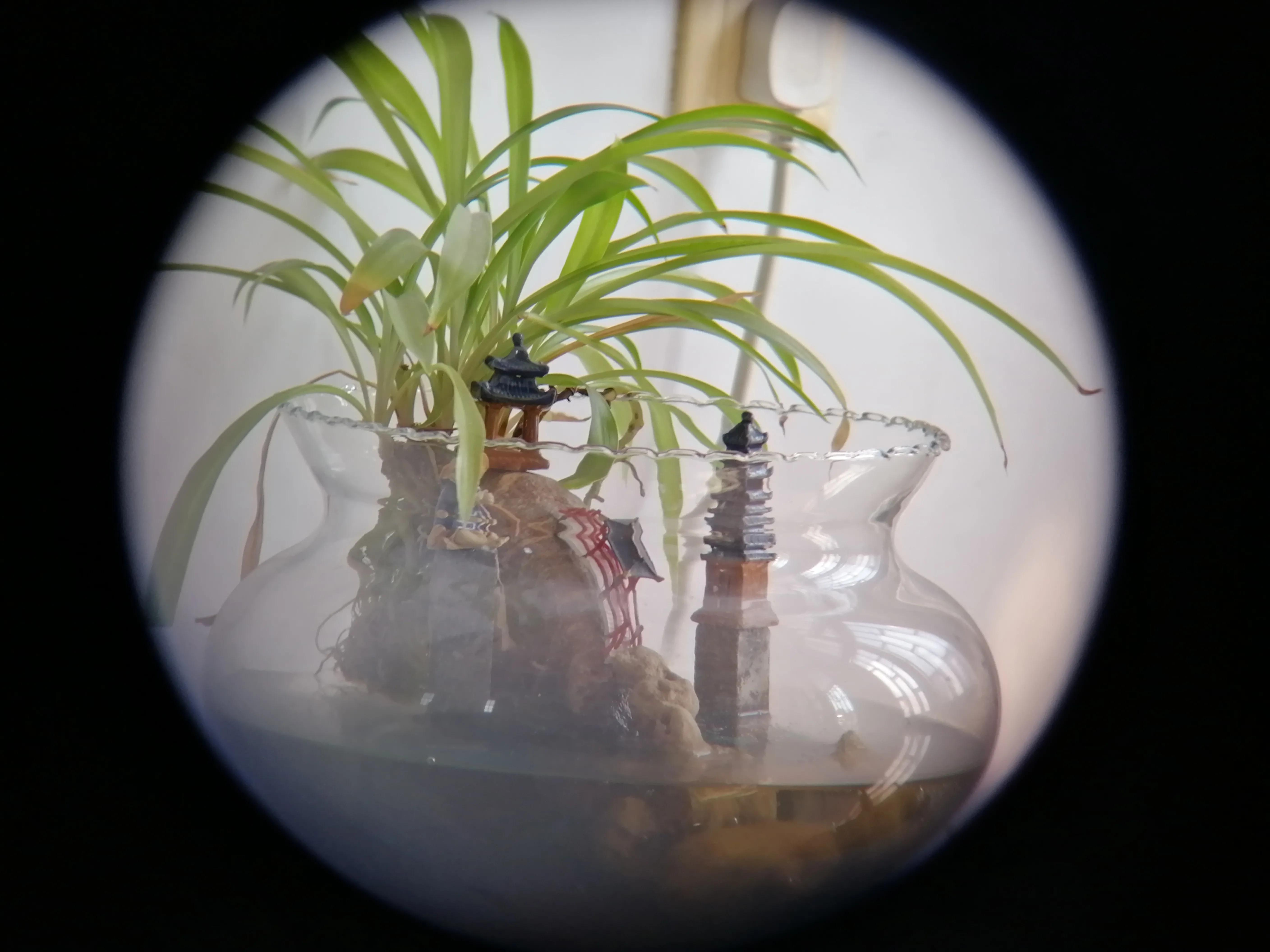 赞美春天桃花的诗词,春天桃花诗词集锦大全