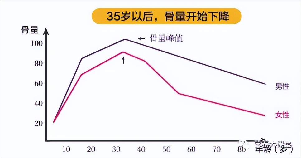 认识人体骨骼系统步骤与结论,带你了解骨骼健康