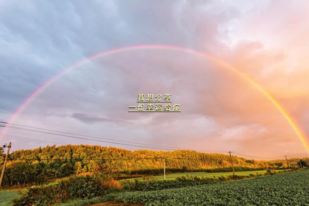 这封信，写给我们的2022---书影单推荐来啦