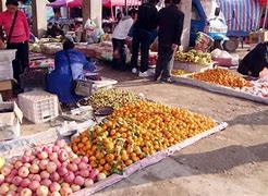 内蒙包头金利斌,包头开发区金利斌