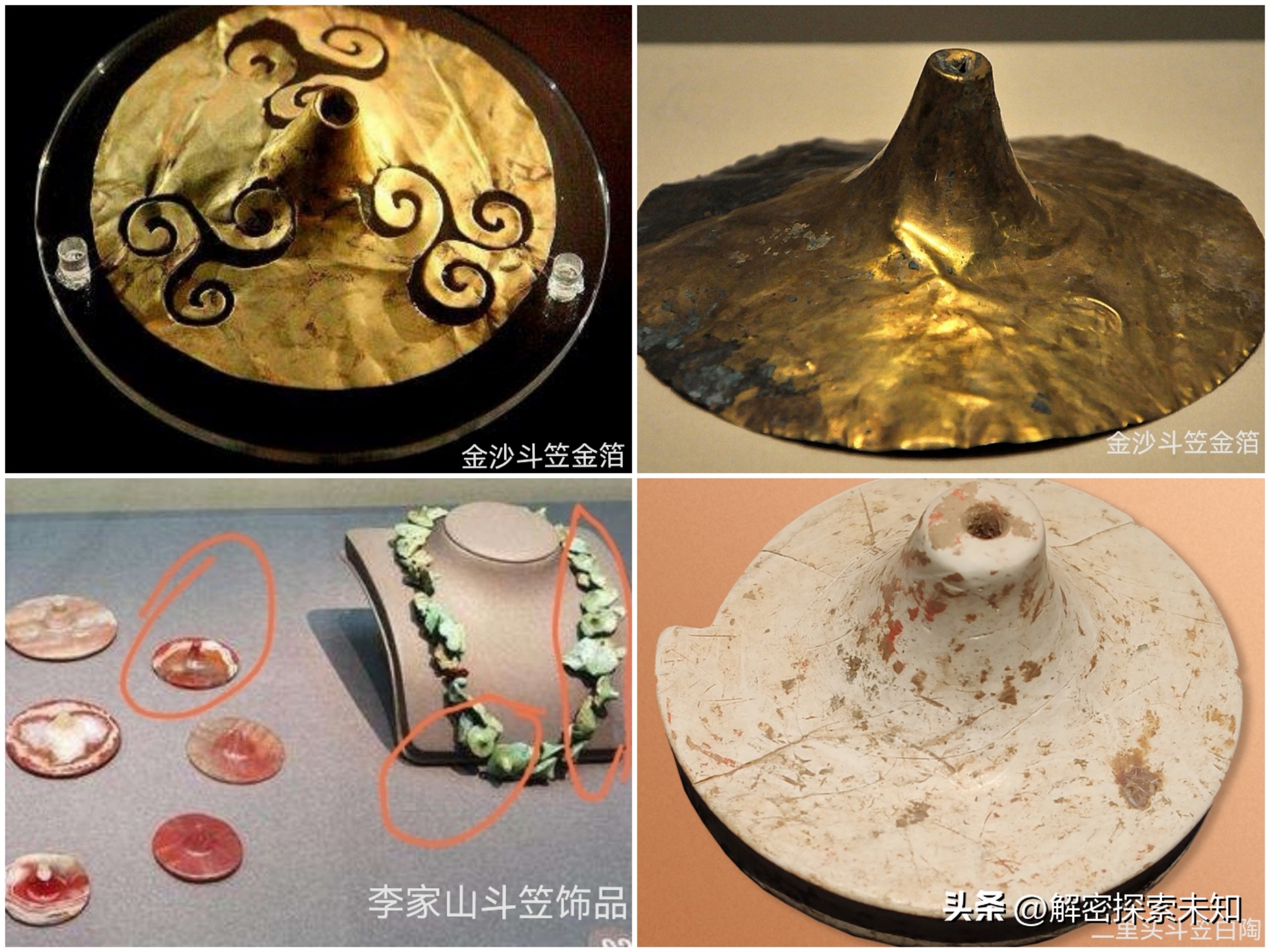 甲虫进化史讲解,甲虫进化史哪些虫真实存在