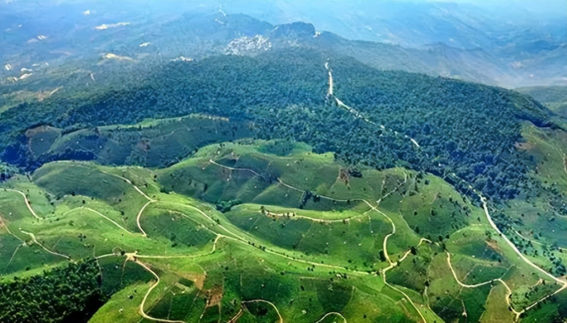 普洱茶各大山头的特性和口感图文,普洱茶老茶头的口感特点有哪些