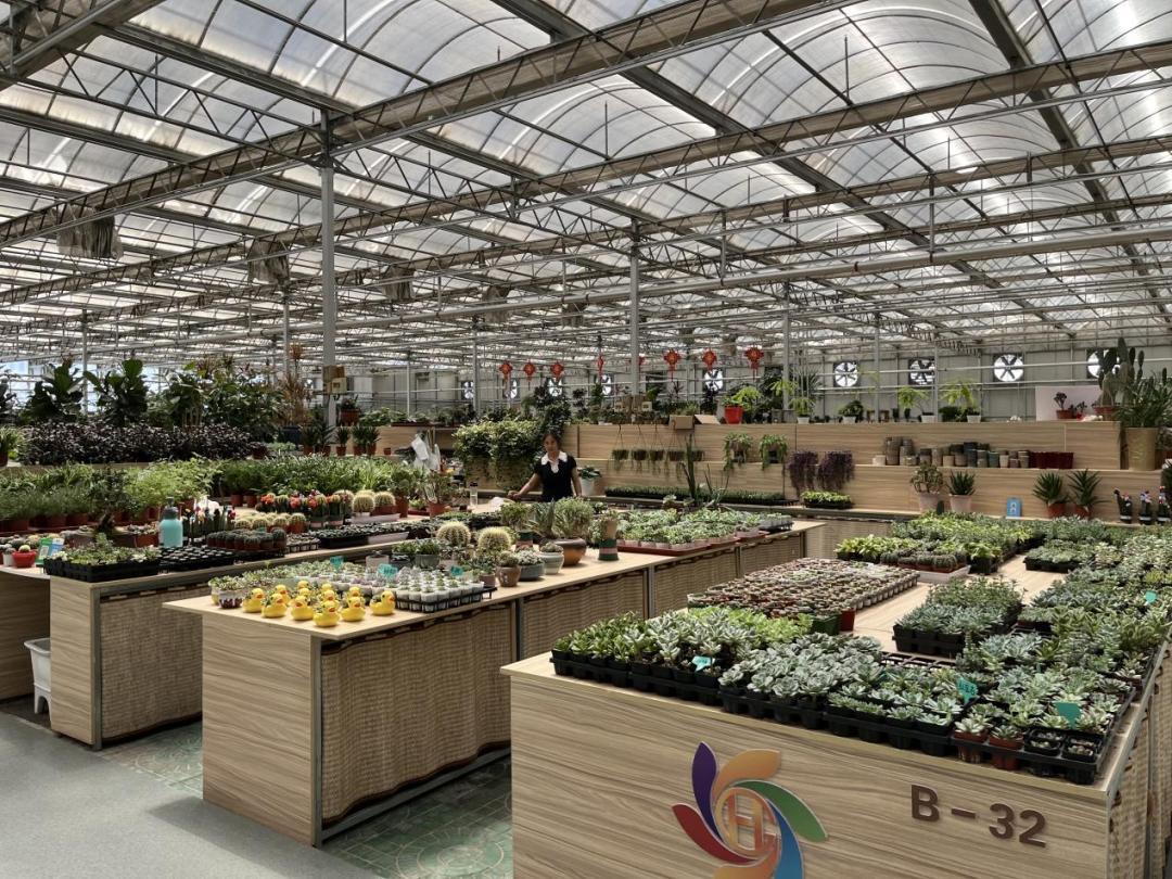 保姆级购物攻略,花市潜规则大揭秘教你怎么买花