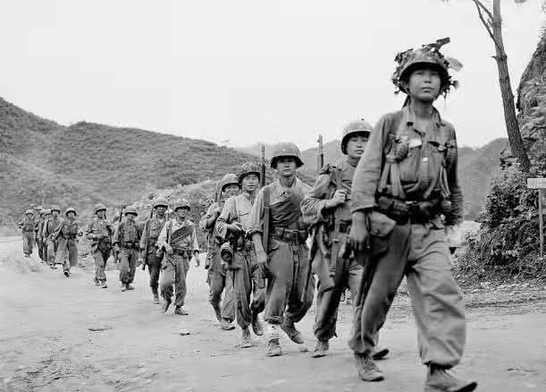 跨过鸭绿江韩军师长跟美军对话,韩军对越南暴行