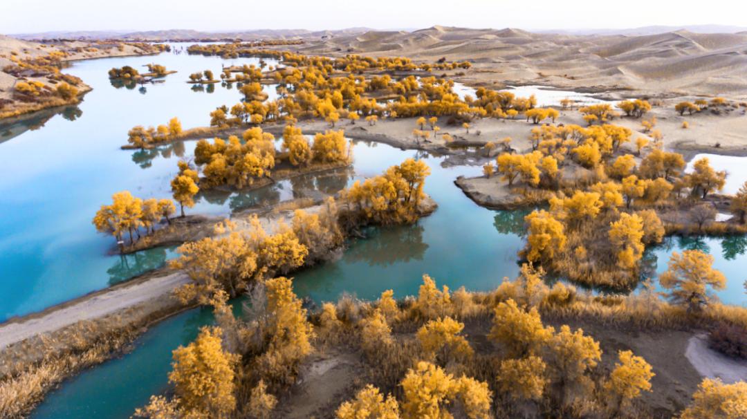 黑马的明牌：准一线广东卫视的三年改革与五年突围